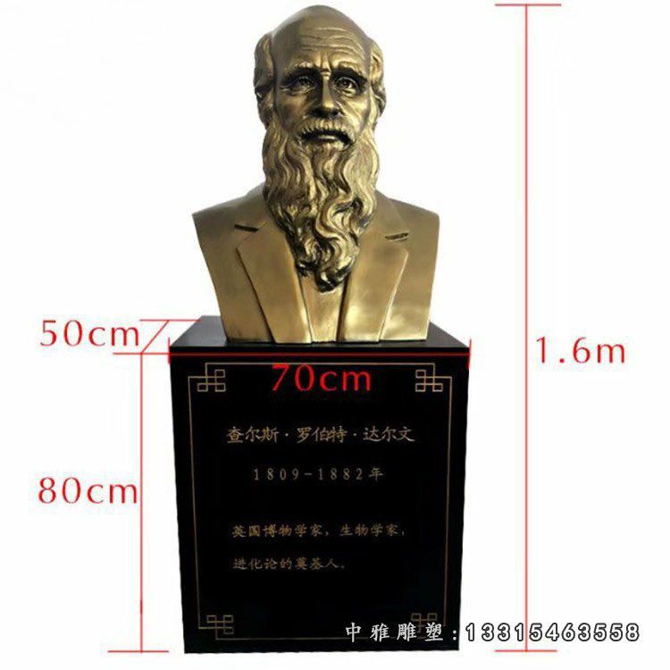 铜雕达尔文胸像