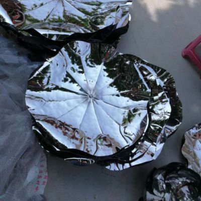 不锈钢荷叶雕塑
