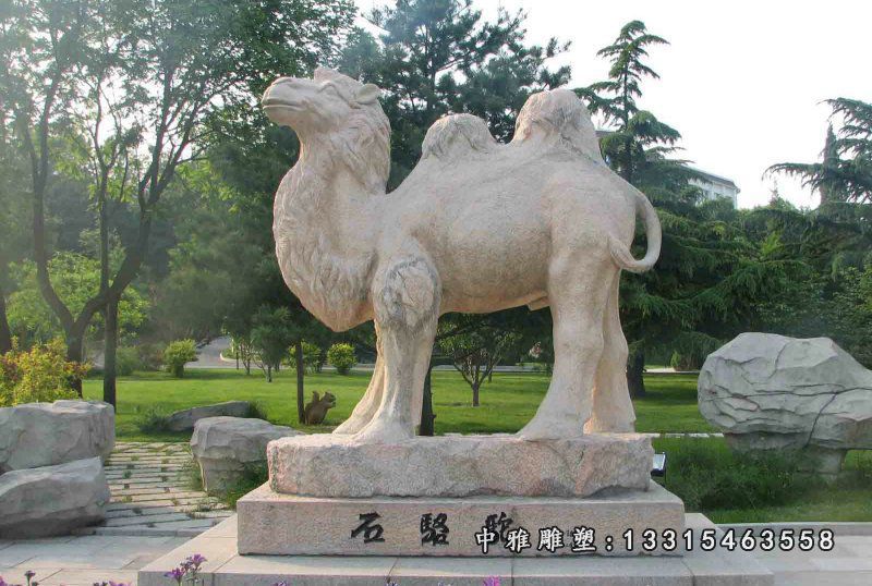 动物骆驼石雕