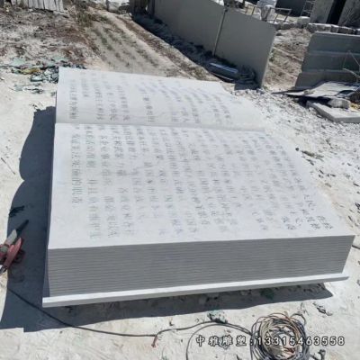 石雕校园景观书籍