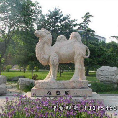石雕沙漠骆驼