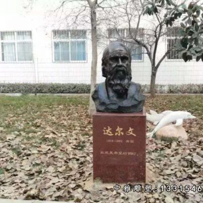 西方人物达尔文铜雕像