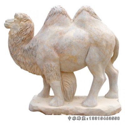 公园骆驼石雕动物