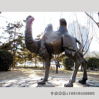 骆驼广场铜雕