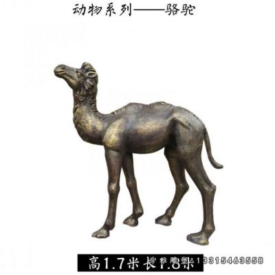 铜雕景区骆驼