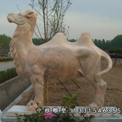 石雕公园骆驼