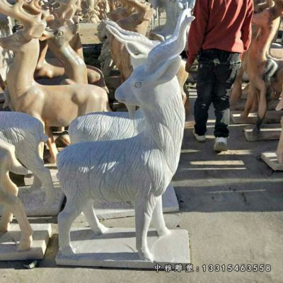 石雕公园羊雕塑