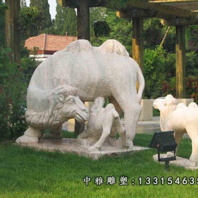 石雕广场骆驼